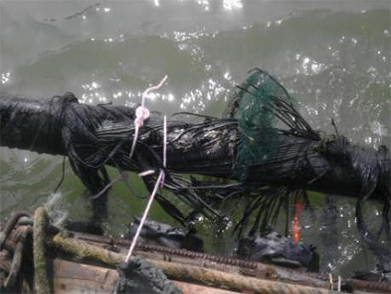 中（zhōng）信能源天時集團月東油田海纜維修項目（2013年）