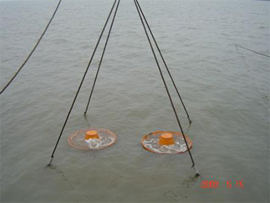 冀東油（yóu）田1-3號島海底管道後挖溝項目（2009年--中石油）