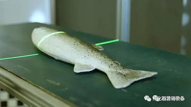 前沿技術 | “蛇形（xíng）機器人”修複海（hǎi）底管道