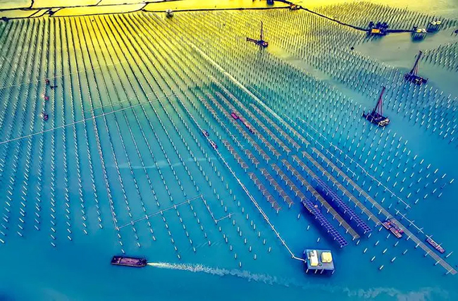 海上（shàng）光伏（fú）產業，能盈利嗎？