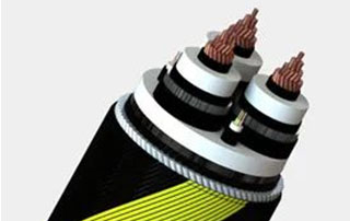 科普丨什麽（me）是風電電纜？