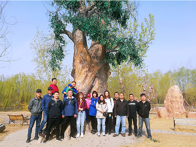 北國江南——楊柳青莊園之旅（lǚ）