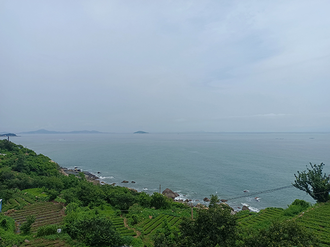 保持（chí）熱愛，奔（bēn）赴山海——青島項目慰問觀光之旅