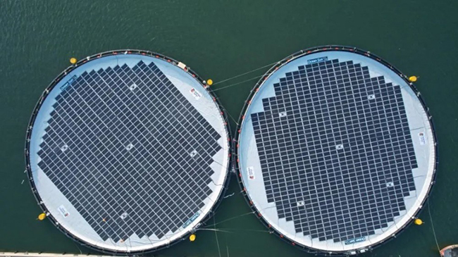 全球首個！國家電投山東分公司深遠海風光同（tóng）場漂浮式光伏（fú）項目發出第一度電